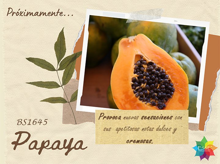 Bs1645 papaya (nueva fragancia)